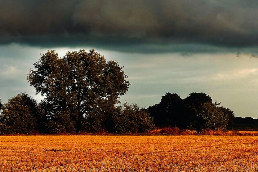 Elektroschrott Entsorgung Oldenburg